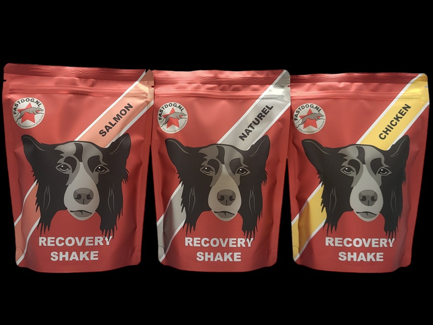 Boisson  recovery - récupération Fastdog (Taille : 500g - Options : Poulet)