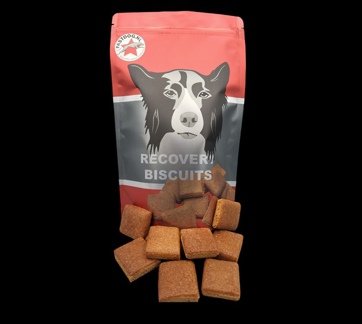 Biscuits de récupération FASTDOG
