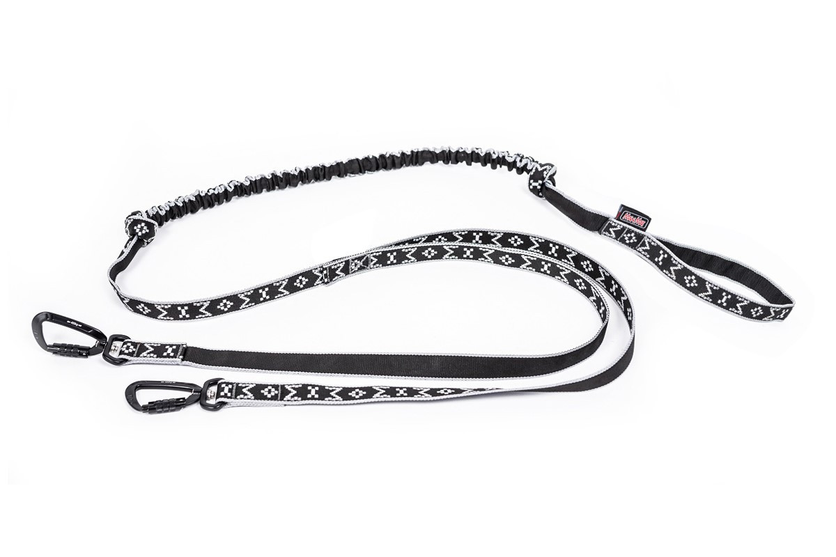 Ligne de trait 2 chiens Manmat avec mousquetons alu (Couleur : Gris)