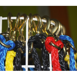 Ligne de trait canicross