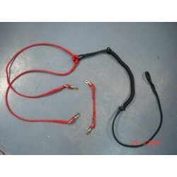 Ligne de trait 2 chiens (amortie)