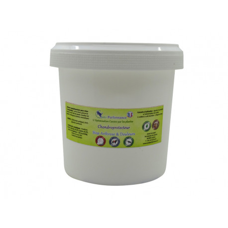 Chondroprotecteur Articulations