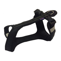 Harnais SHORT Zero DC