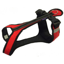 Harnais SHORT Zero DC