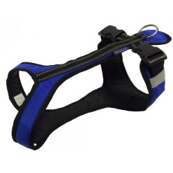 Harnais SHORT Zero DC