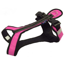 Harnais SHORT Zero DC