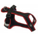 Harnais SHORT Zero DC