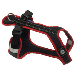 Harnais SHORT Zero DC