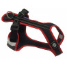 Harnais SHORT Zero DC