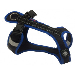 Harnais SHORT Zero DC