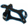 Harnais SHORT Zero DC