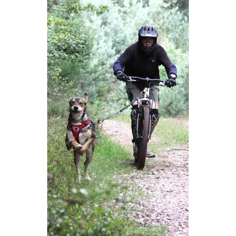 patinette cross canin kickbike frein hydraulique pour le sport avec votre  chien. MORIN FRANCE : Cani-trottinette et canicross, le Sport canin