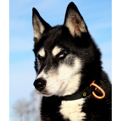 Collier Lumac NoRing, léger sans anneau métallique !