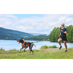 Non-Stop Free Motion série limitée