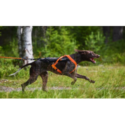 Non-Stop Free Motion série limitée