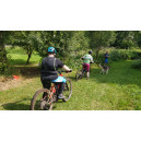 Stage Canicross - canivtt - canitrottinette