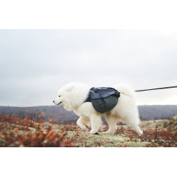 NON-STOP AMUNDSEN PACK - Sac de bât pour chien