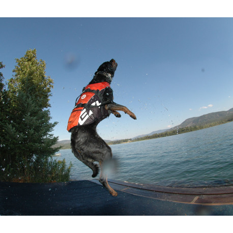 DFD gilet de sauvetage Ezydog
