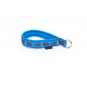 collier rembourré pour chien