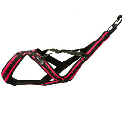 Harnais CROSS Zero dc rose fushia fluo