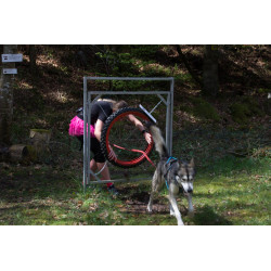 Parcours aventure canin Out-dog