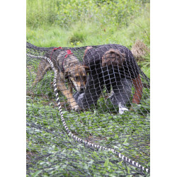 Parcours aventure canin Out-dog