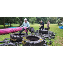 Parcours aventure canin Out-dog