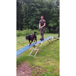 Parcours aventure canin Out-dog