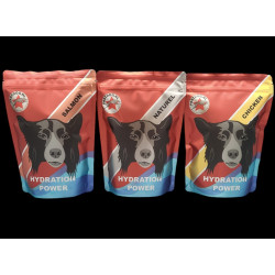 Boisson Hydratation Power Fastdog