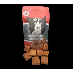 Biscuit de récupération pour chien