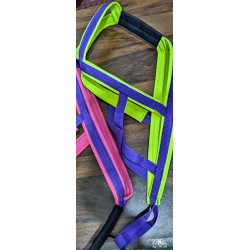 Harnais ACTICANI THUNDER bleu rembourrage Lemon