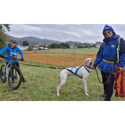 Harnais ACTICANI THUNDER Gris clair rembourrage noir