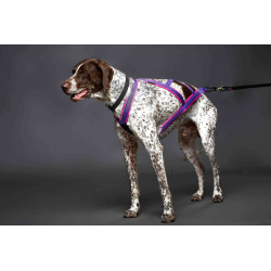 Harnais ACTICANI THUNDER violet rembourrage rose