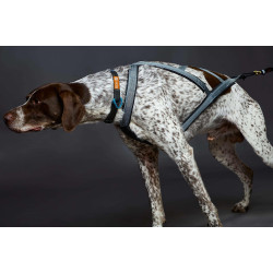 Harnais ACTICANI THUNDER Gris clair rembourrage noir