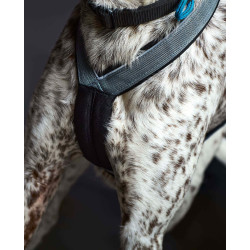 Harnais ACTICANI THUNDER Gris clair rembourrage noir