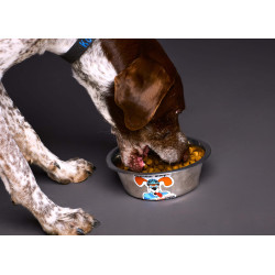 Croquettes Lamb and Rice Acticani