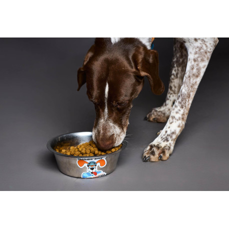 Croquettes Lamb and Rice Acticani