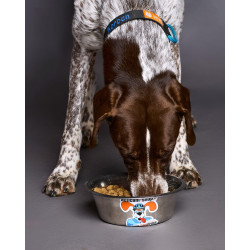 Croquette entretien du parc out-dog