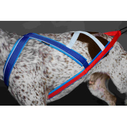 Harnais ACTICANI THUNDER bleu blanc rouge