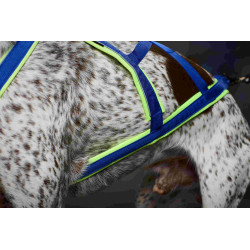 Harnais ACTICANI THUNDER bleu rembourrage Lemon