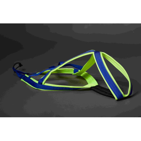 Harnais ACTICANI THUNDER bleu rembourrage Lemon