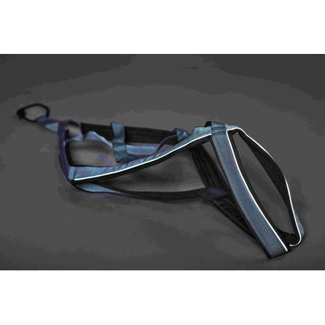 Harnais ACTICANI THUNDER Gris clair rembourrage noir