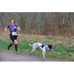 Harnais ACTICANI THUNDER bleu blanc rouge