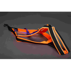 Harnais ACTICANI THUNDER orange croix violette