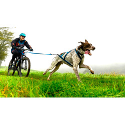 Stage personnalisé en Visio 2*1h + 30' gratuite