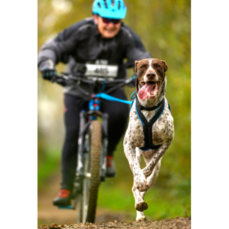 Stage personnalisé en Visio 2*1h + 30' gratuite