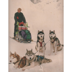 Stage personnalisé en Visio 2*1h + 30' gratuite