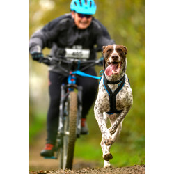 Harnais ACTICANI THUNDER rouge rembourrage noir