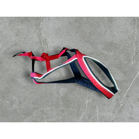 Harnais ACTICANI THUNDER rouge rembourrage noir