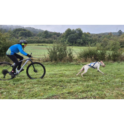 Harnais ACTICANI THUNDER Noir jaune rouge